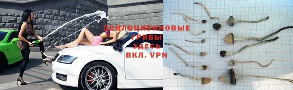 марки lsd Россошь