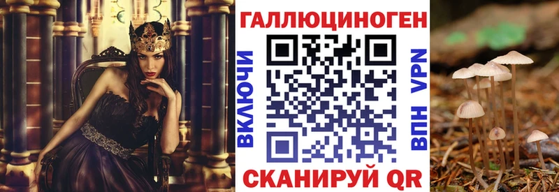 мега зеркало  купить закладку  Ряжск  Галлюциногенные грибы мицелий 